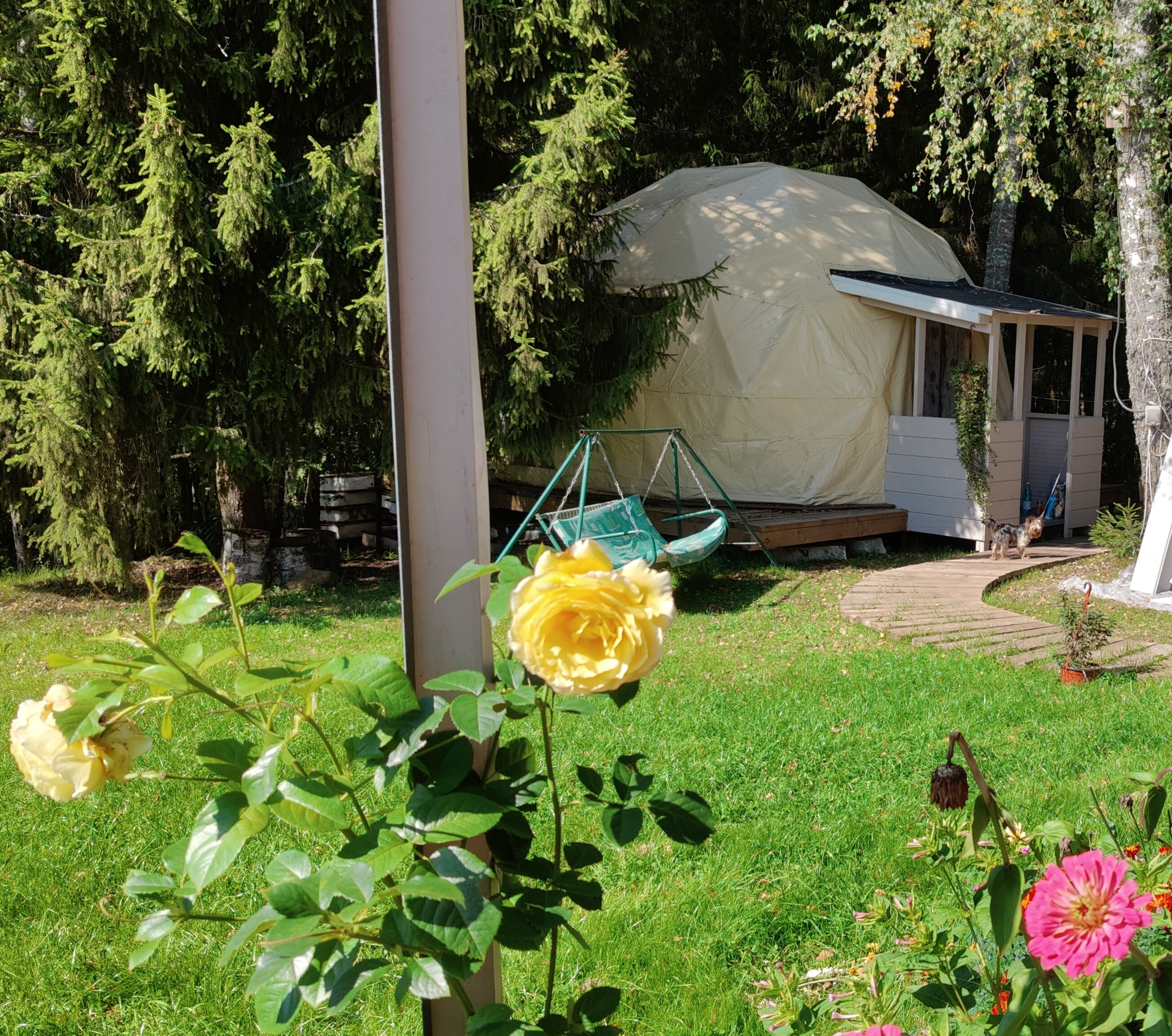 Фото Прованс