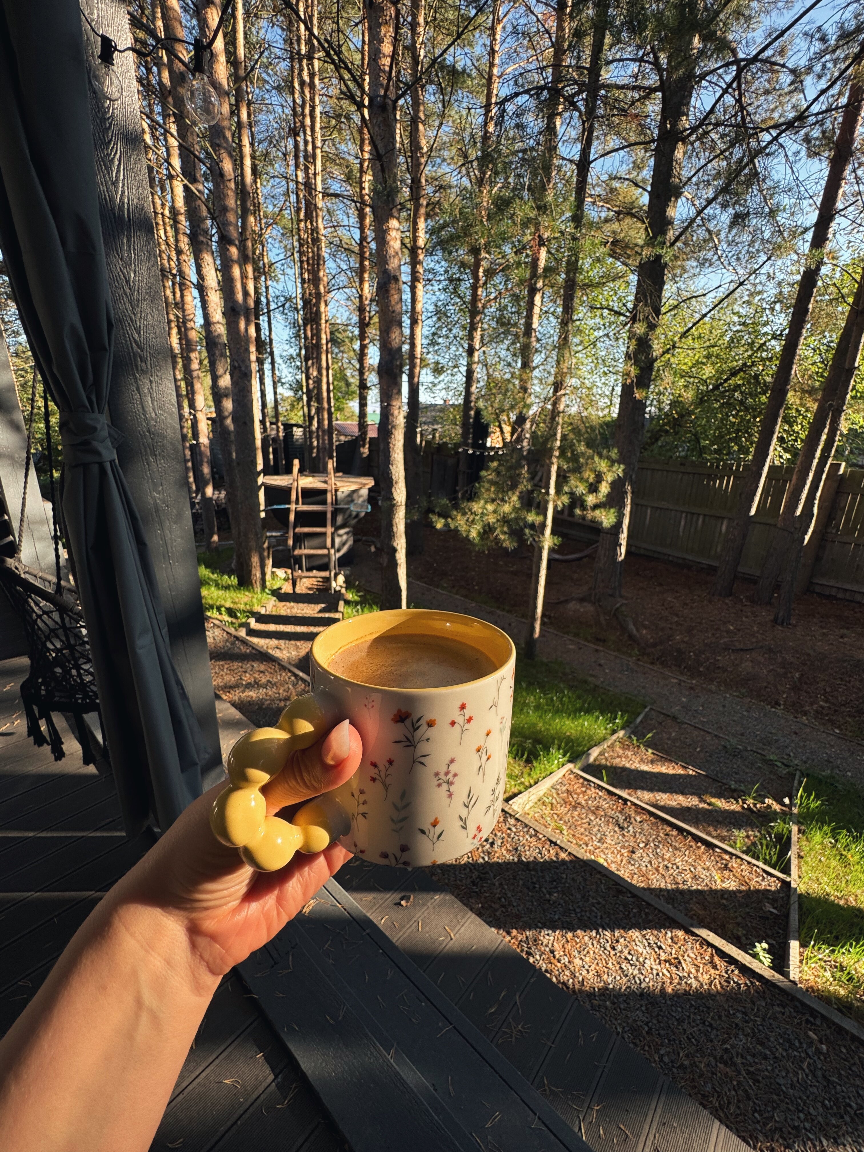 Фото Хвойная Гармония