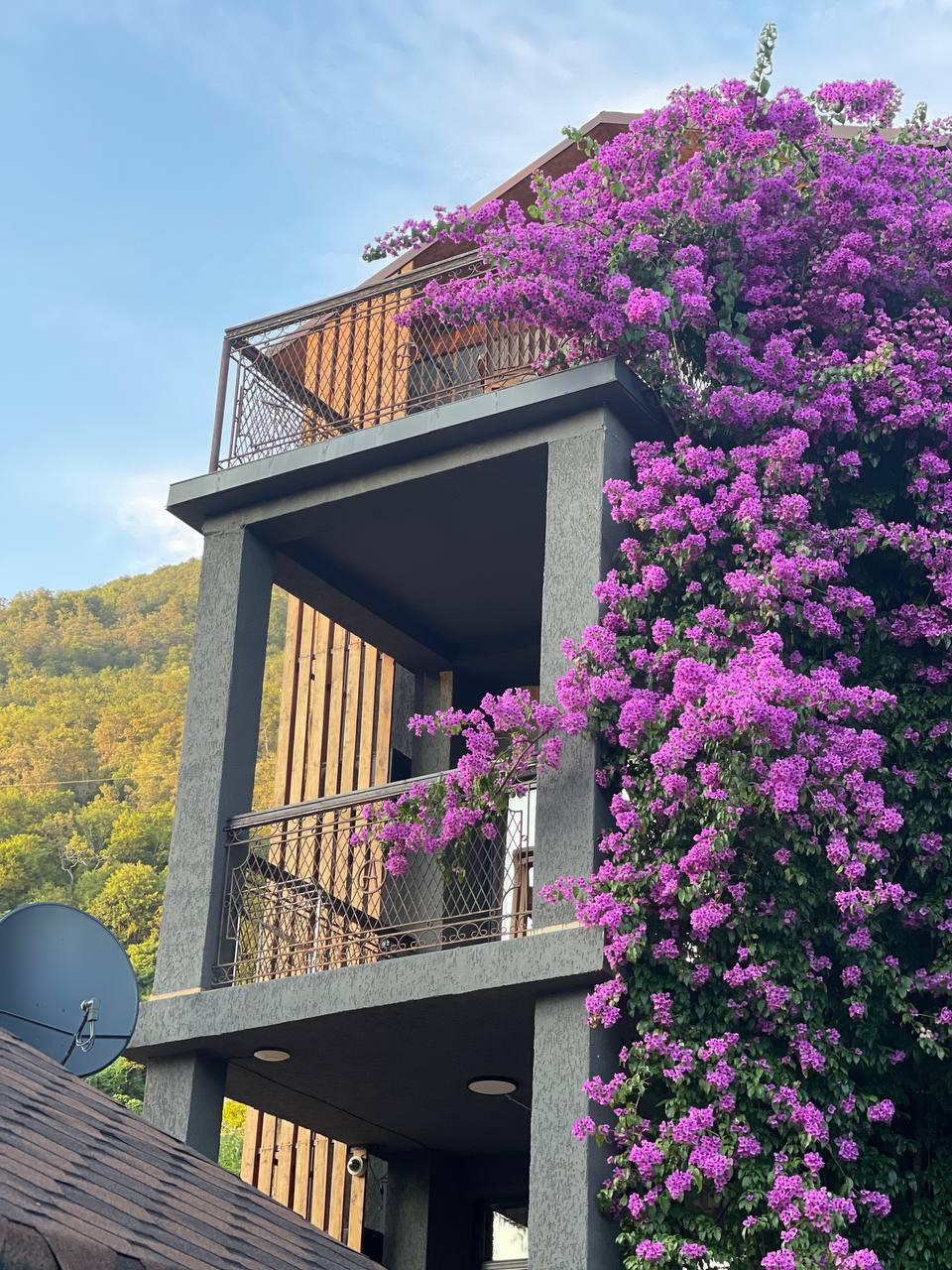 Фото Аимара