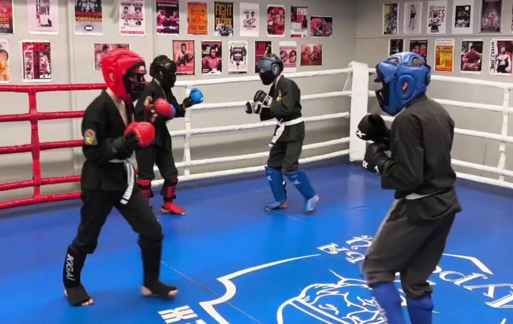 Sports club Martial arts Viet Vo Dao, Voronezh, photo