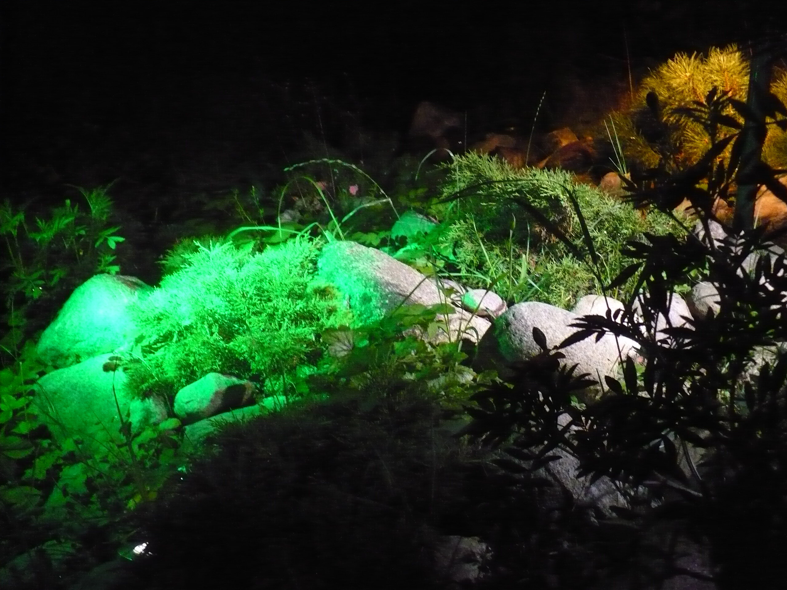 Фото Домик на горке