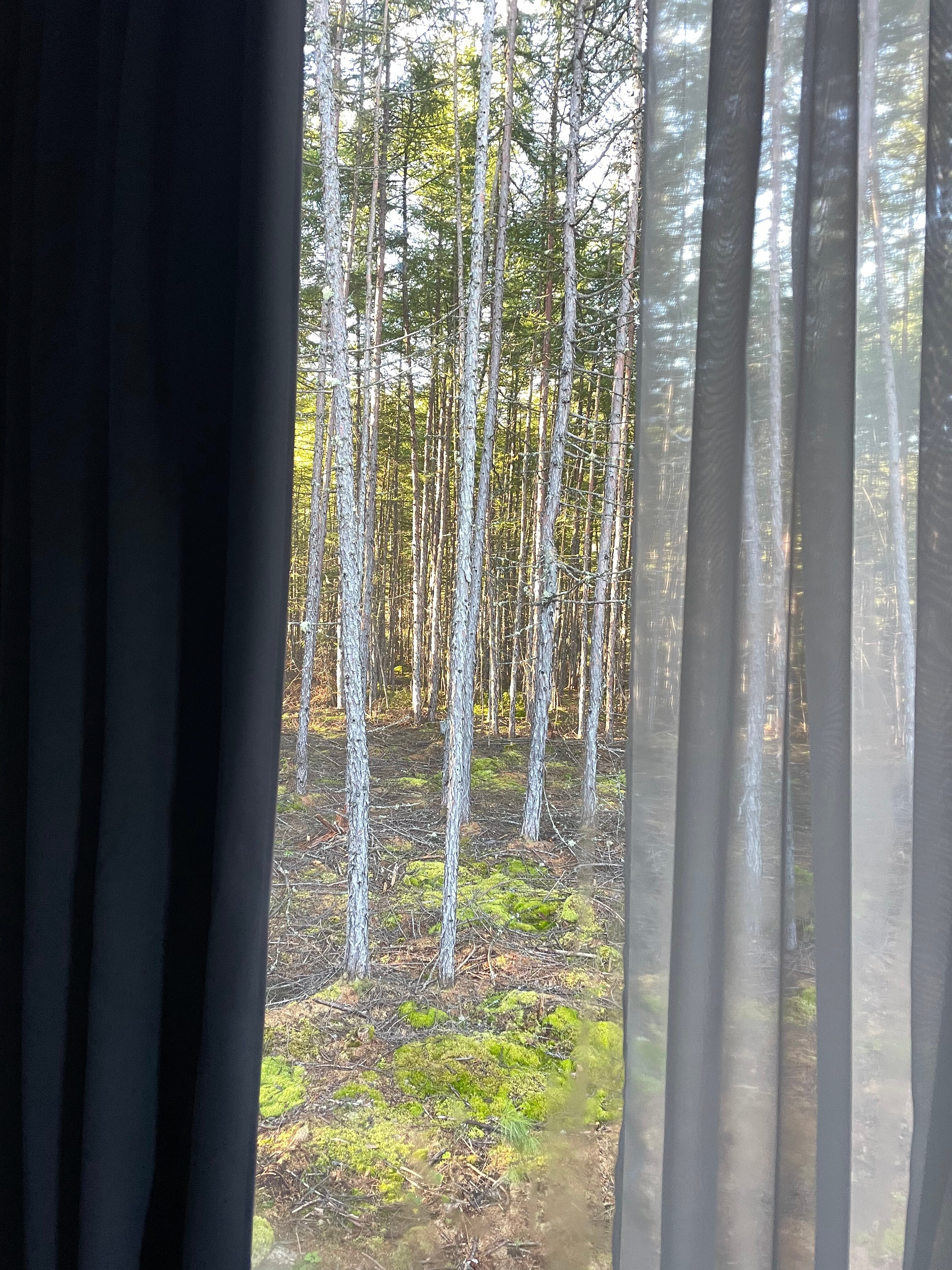 Фото Туристическая деревня Ларга