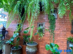 Гостиница Wannamas Chiangmai Boutique House