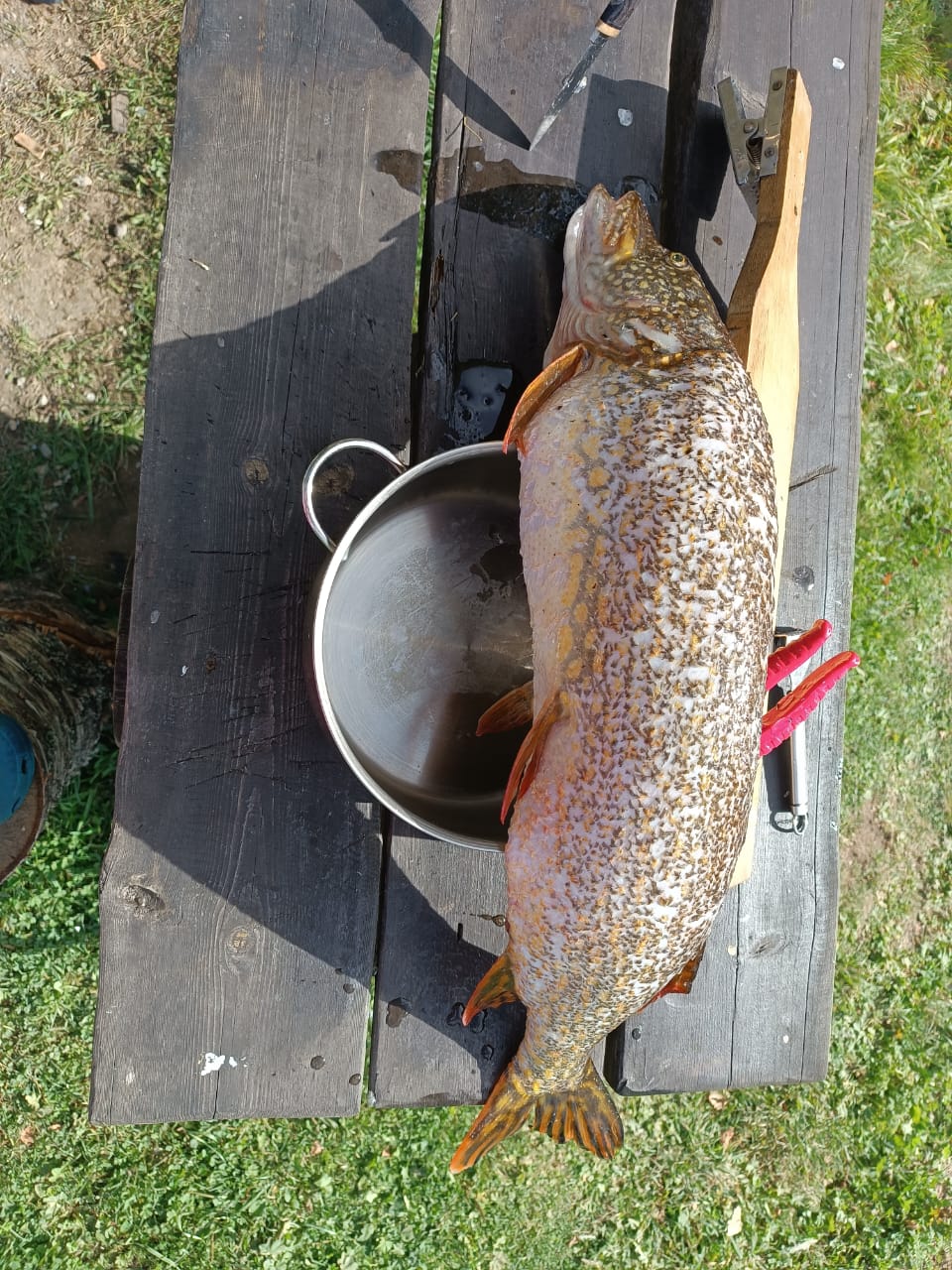 Фото Домик на берегу