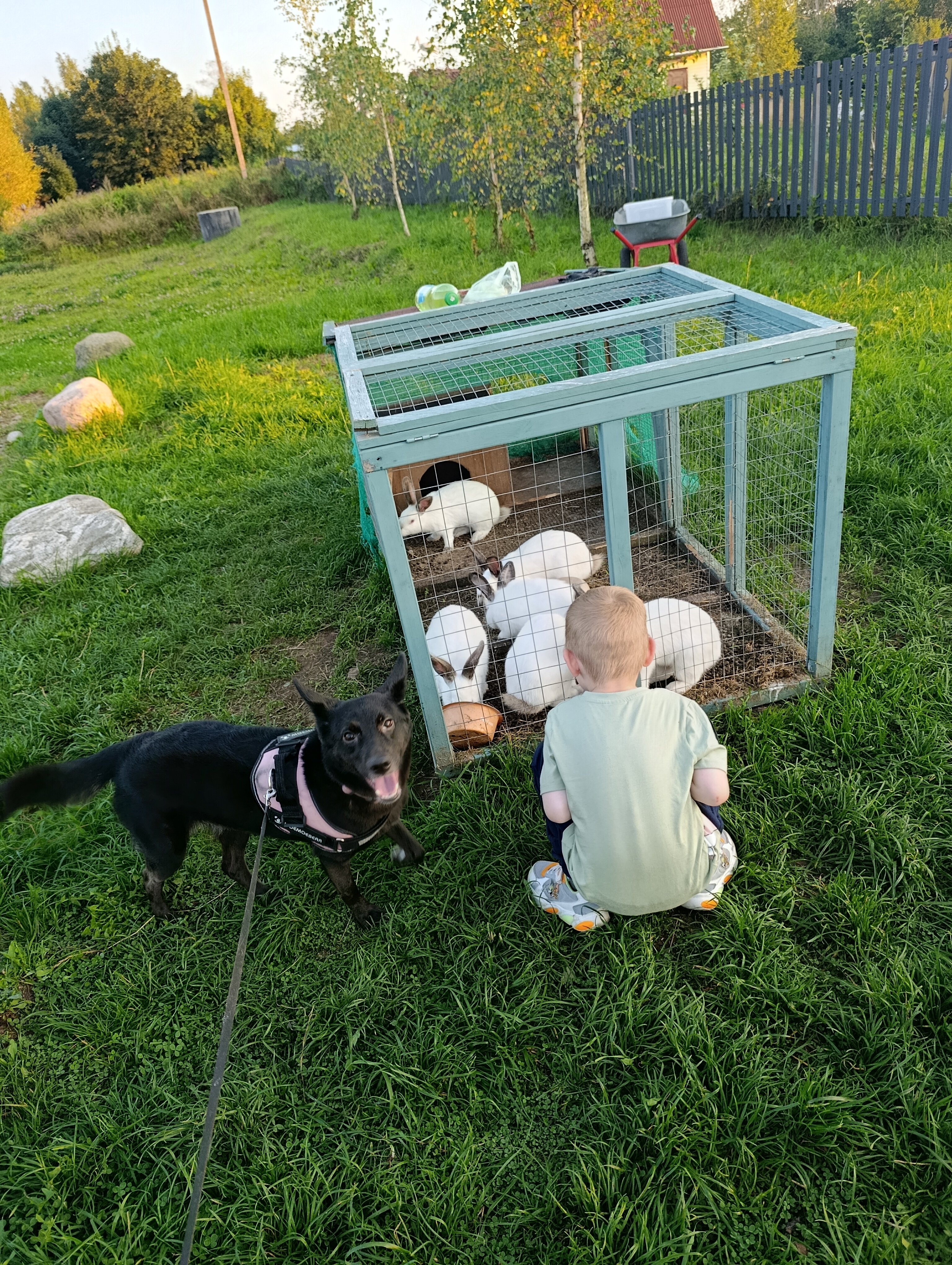 Фото Мишка на прудах