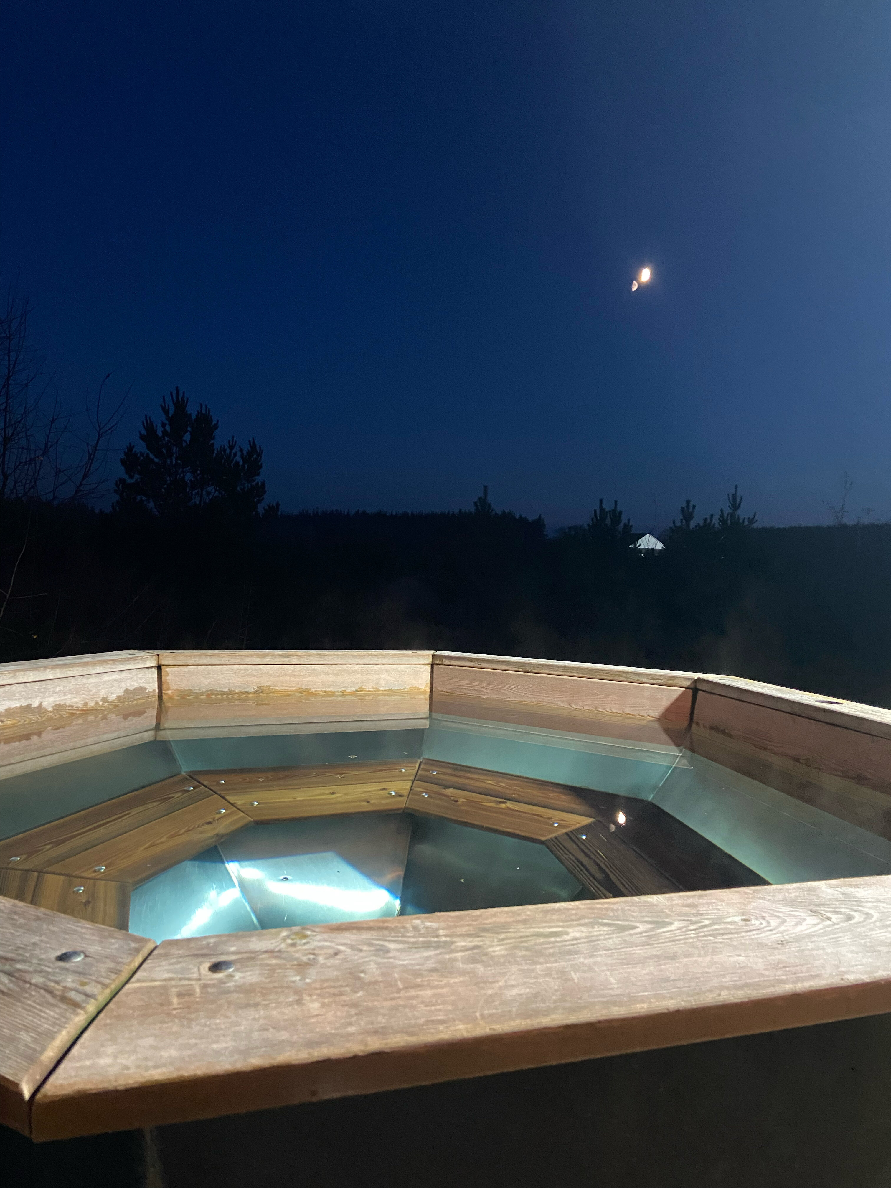 Фото Forest chan