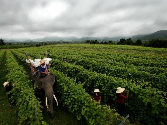 Фото My Way Hua Hin Music Hotel