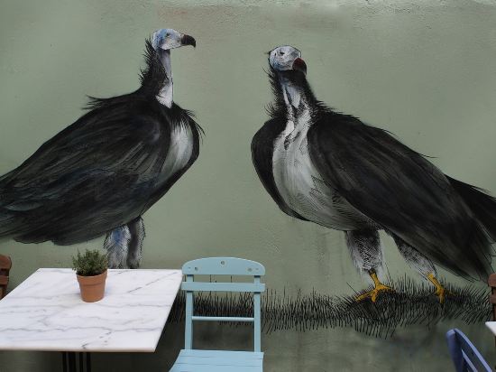 Фото Nubian Hostel