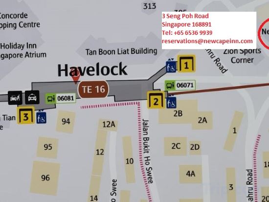 Фото New Cape Inn