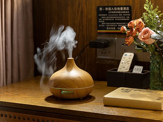 Фото Borrman Hotel