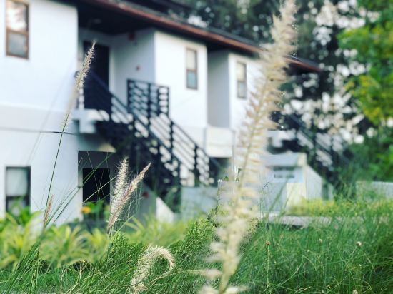 Фото Palm Galleria Resort