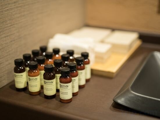 Фото Hotel Shikisai Kyoto