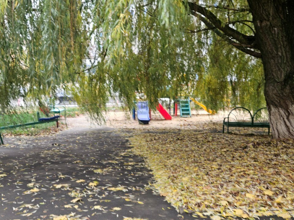 Playground Playground, Orel, photo
