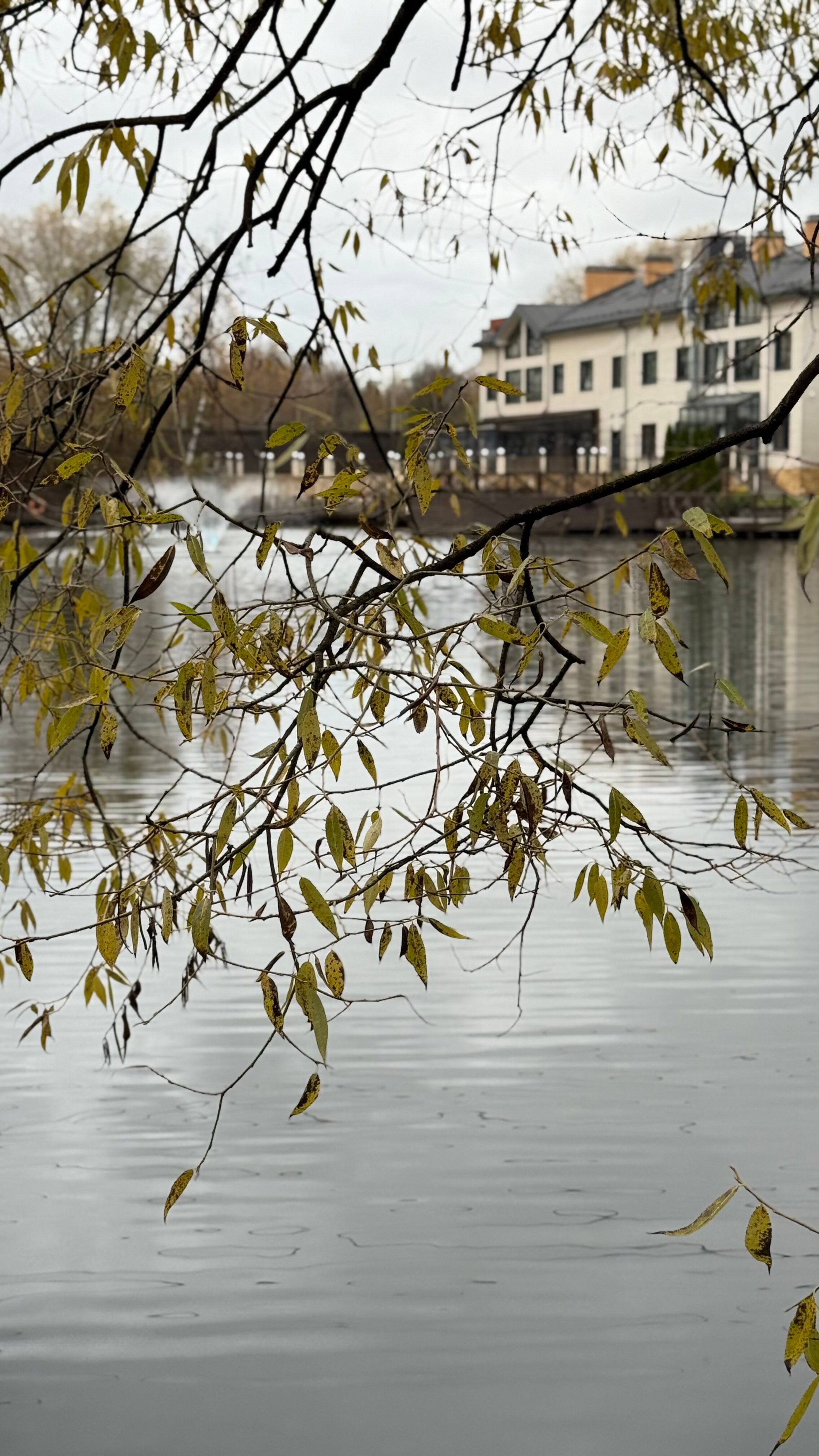 Фото Теплица парк