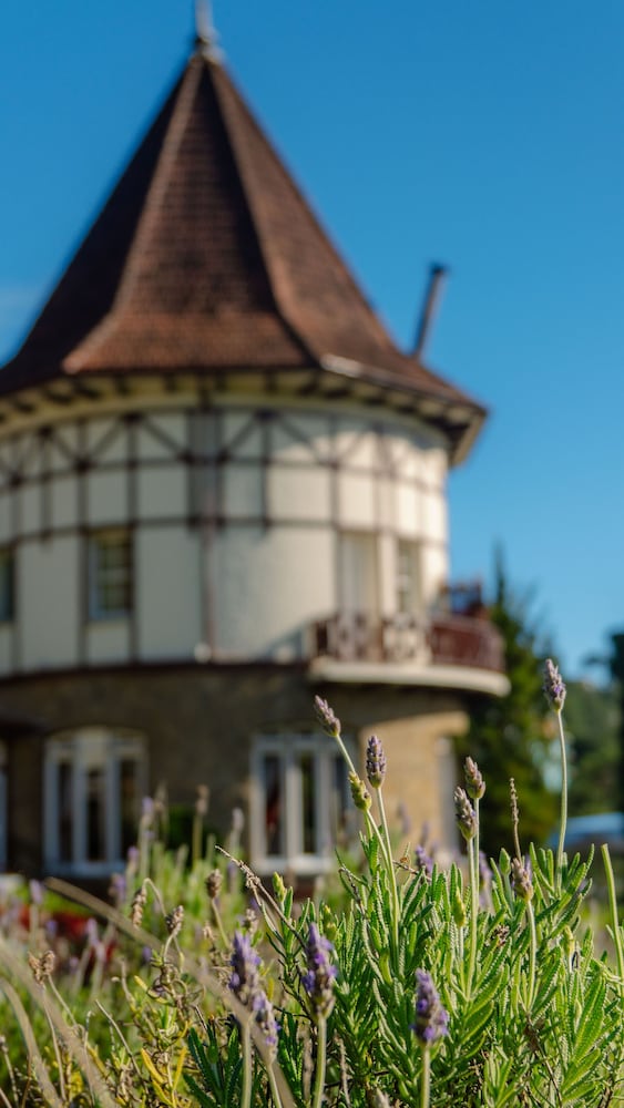 Фото Hotel Vila Inglesa