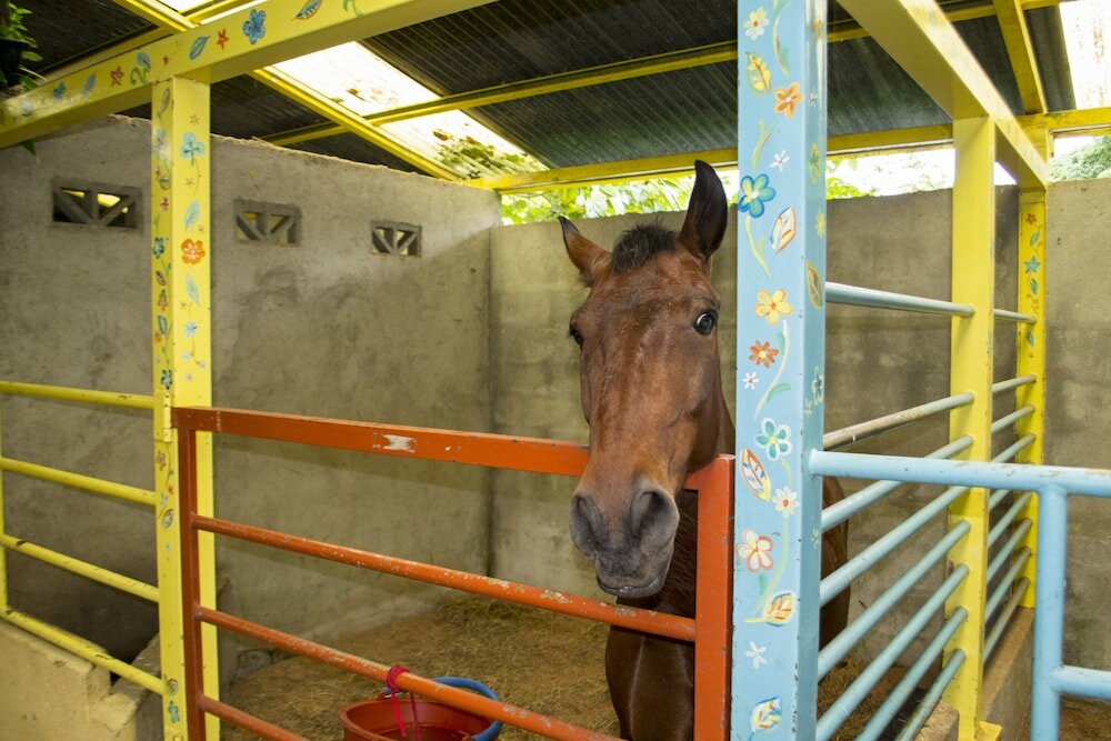 Фото Lands in Love Hotel