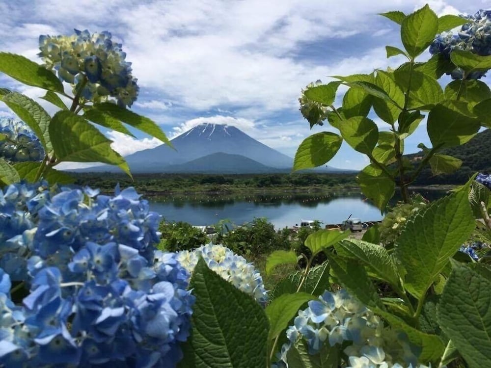 Фото Shoji Mount Hotel