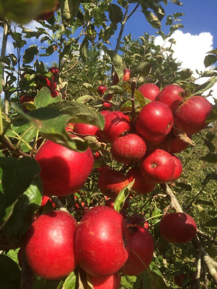 Фото Splatthayes B&b