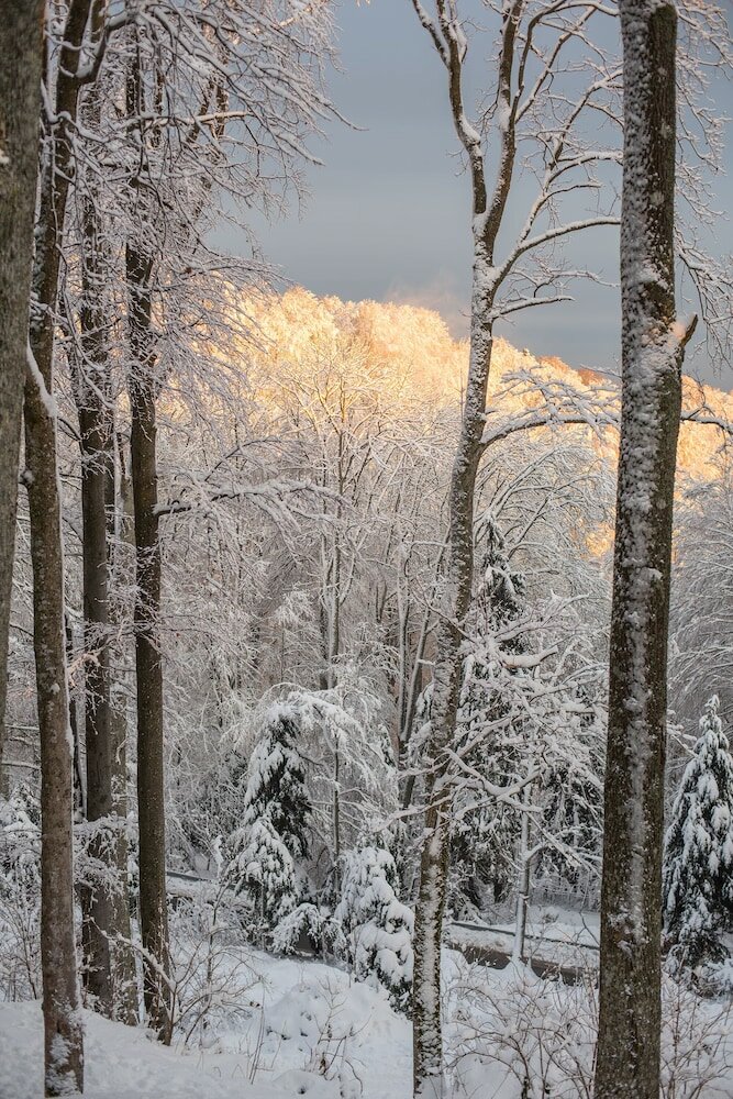 Фото Hotel Tomislavov Dom