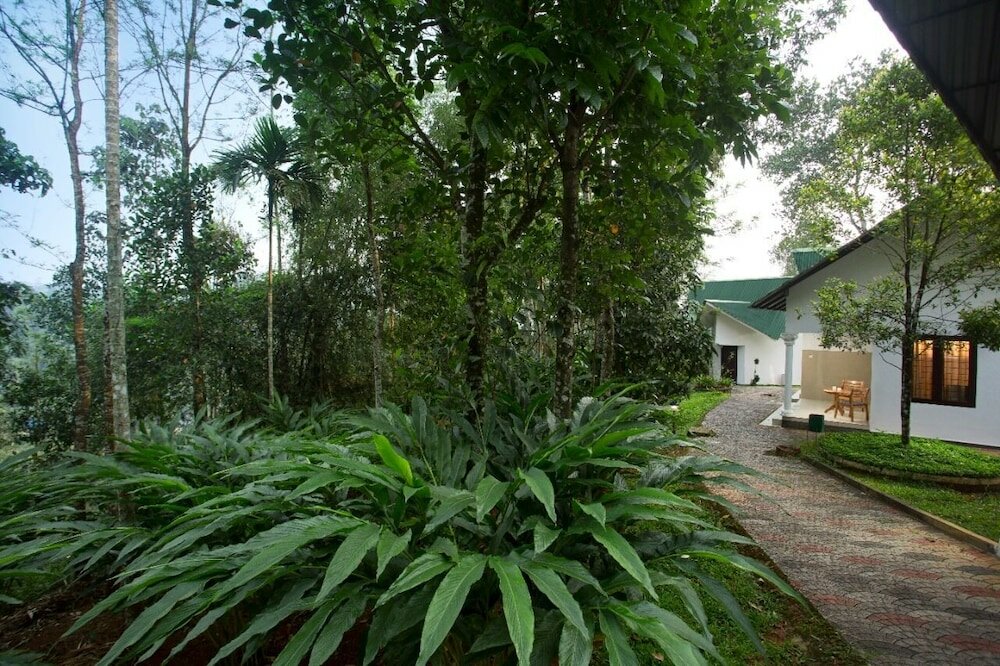 Фото Misty Lake Resort