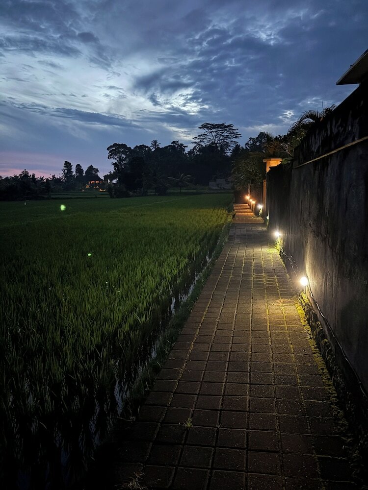 Фото Uma Padi Villa