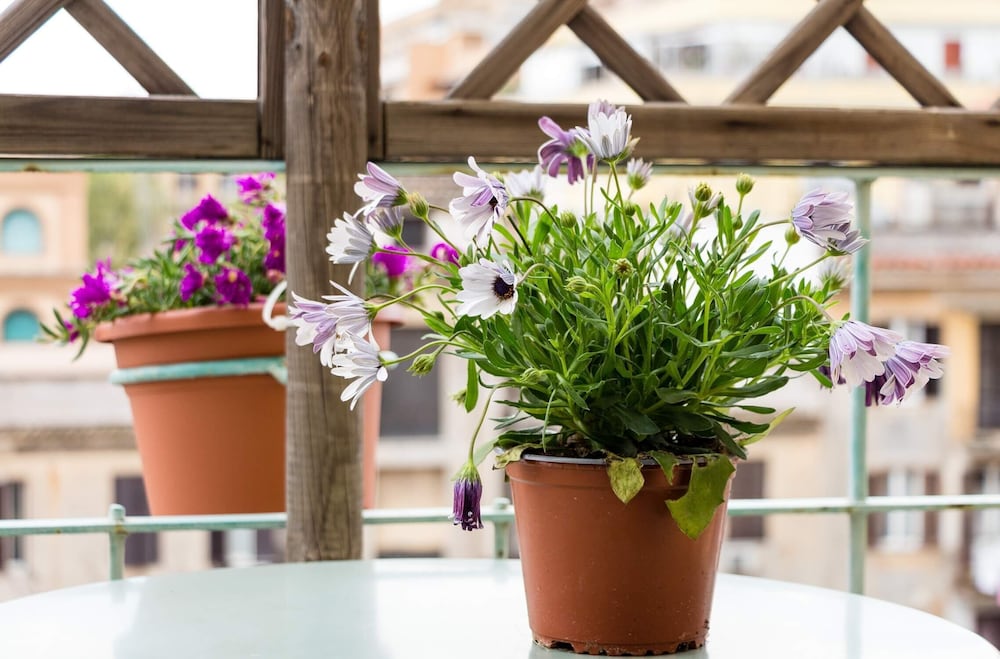 Фото Prati Guest house