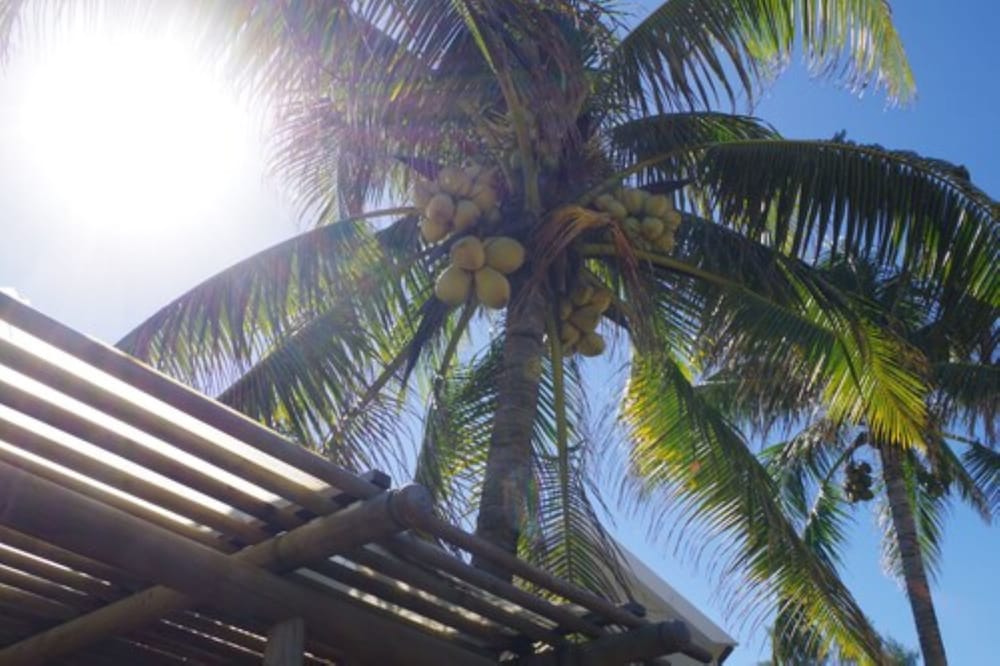 Фото Silver Beach Hotel Mauritius