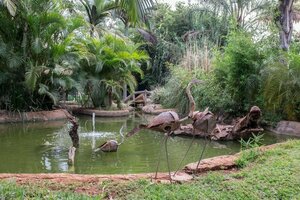 Гостиница Twangale Park Hotel