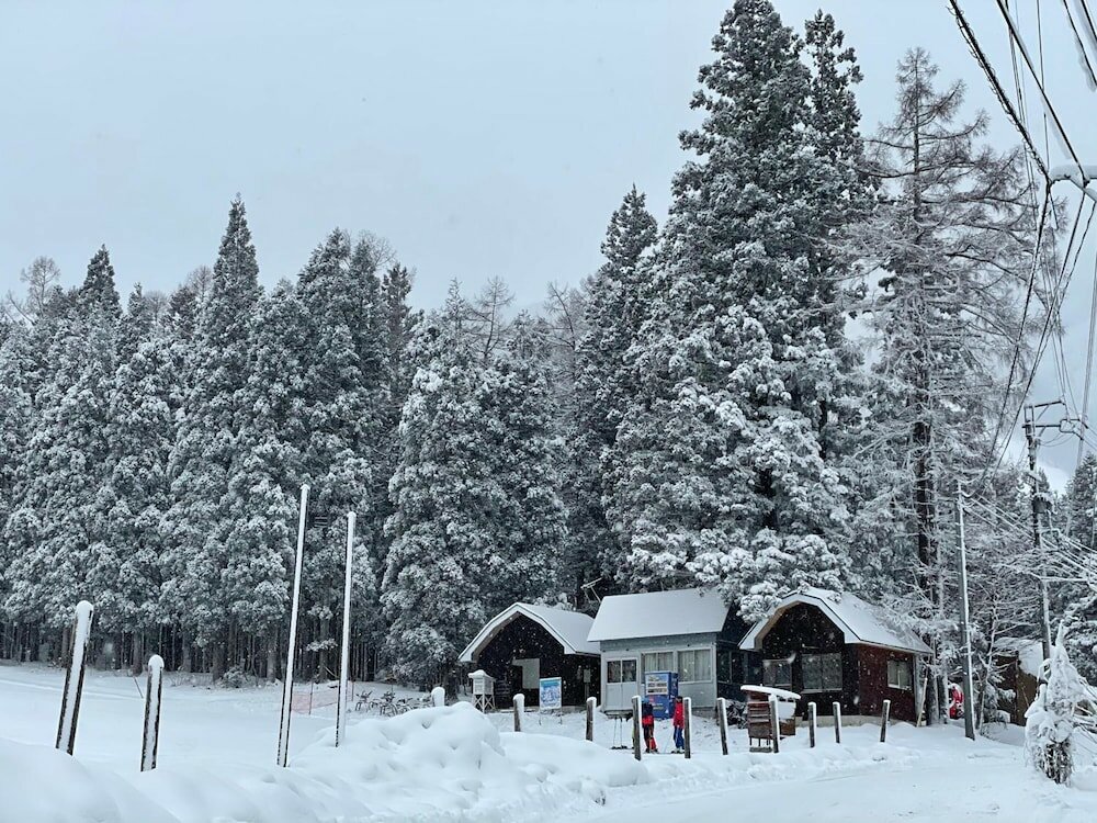 Фото Hakuba Sun Valley Hotel