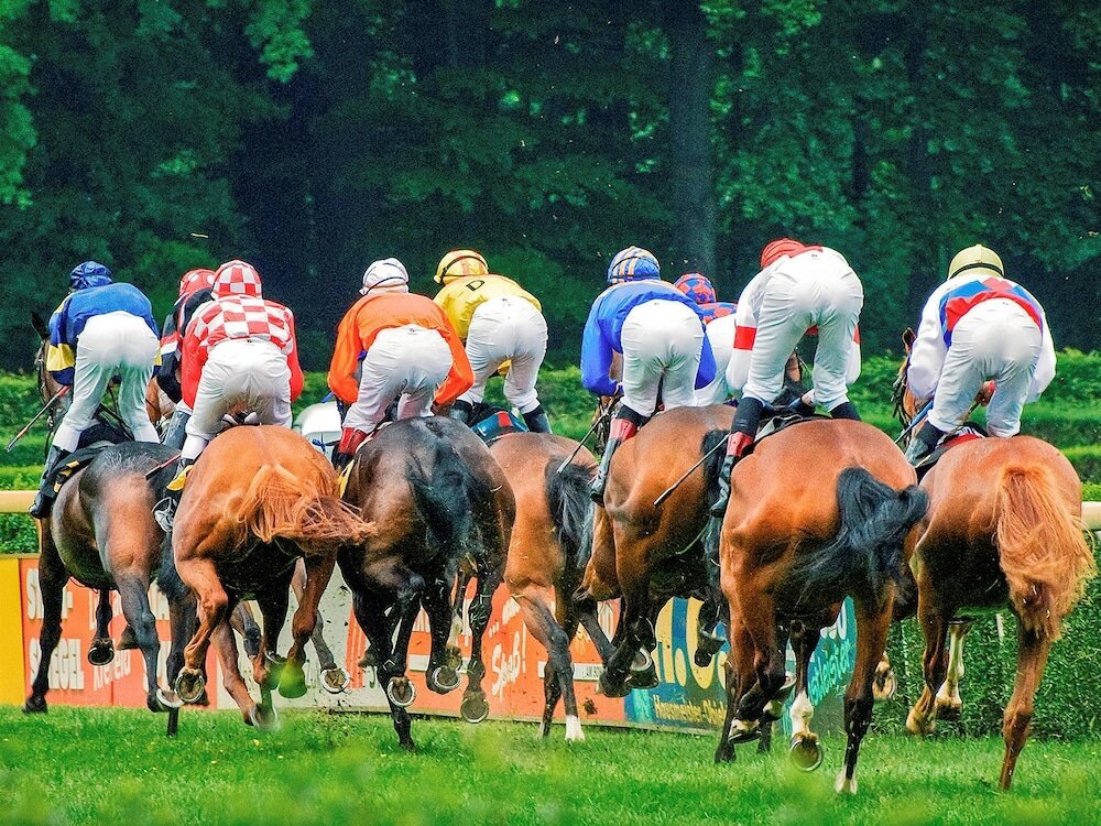 Фото Mercure Parkhotel Krefelder Hof