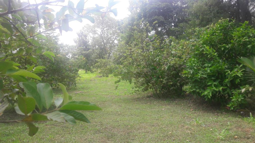 Фото Wenasa Hotel