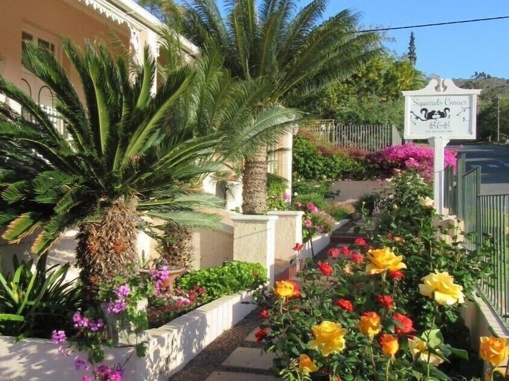 Фото Squirrels Corner