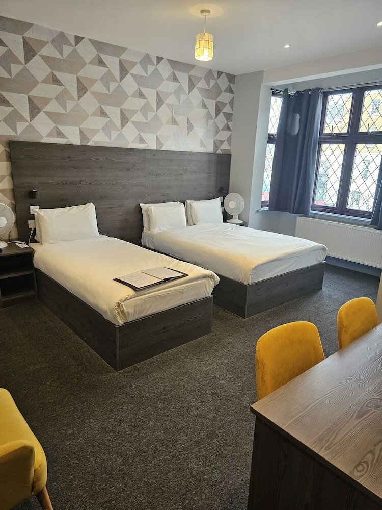 Фото Casuarina Tree