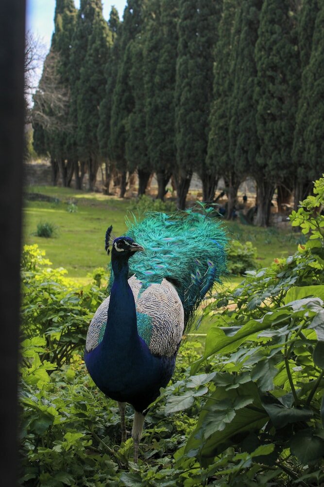 Фото Amphitryon Boutique Hotel