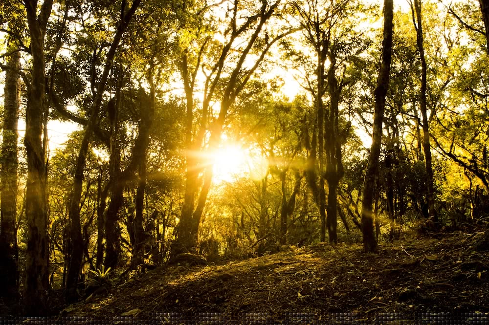 Фото Pousada Sky Chales da Montanha