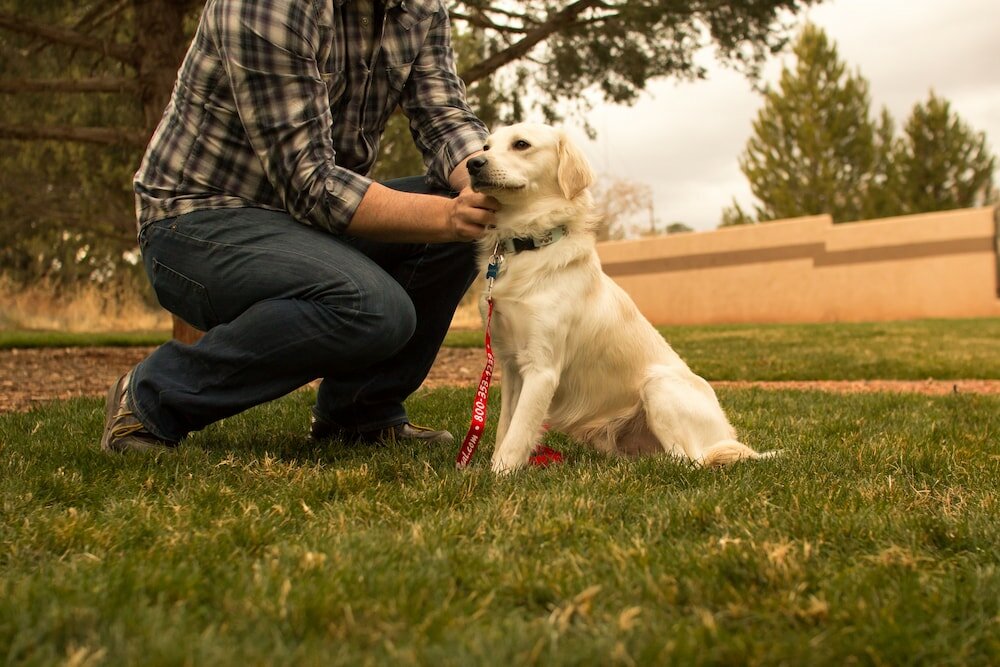 Фото Sedona Real Inn & Suites