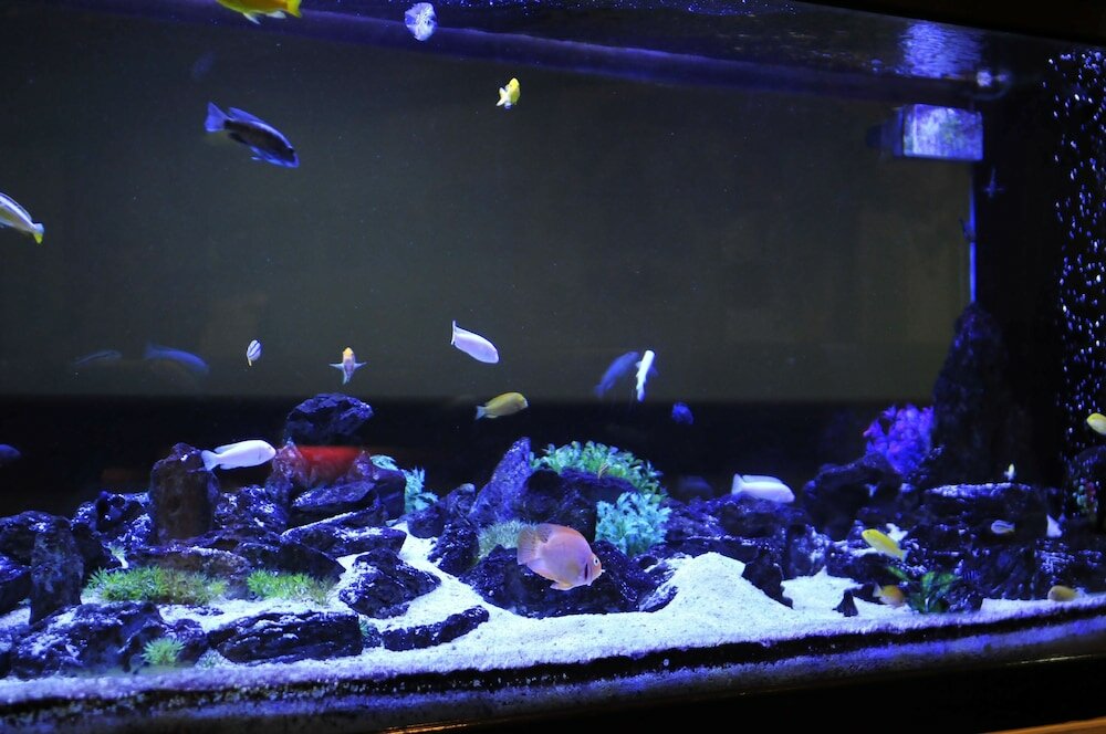 Фото Hotel China Town 2 Kuala Lumpur