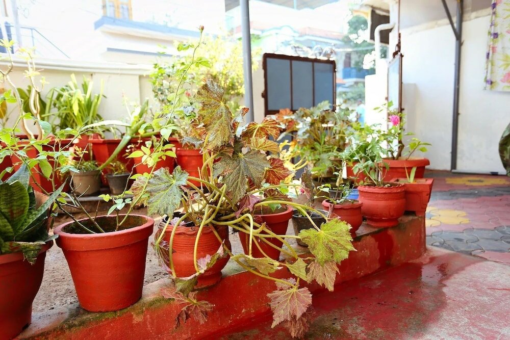 Фото Honolulu Home