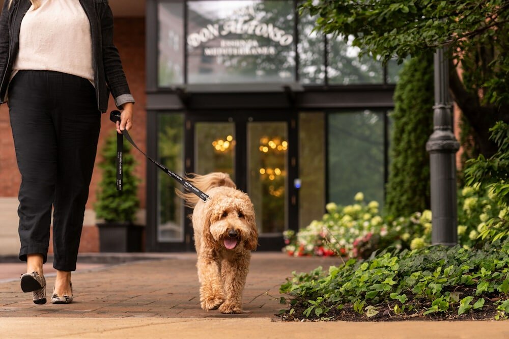 Фото The Ritz-Carlton, St. Louis