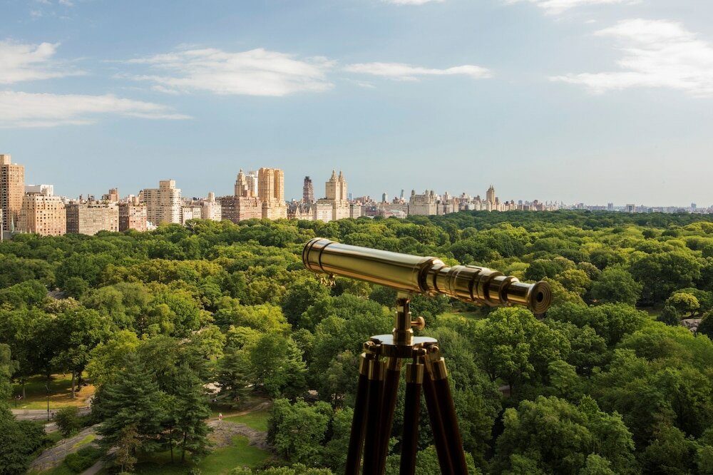 Фото The Ritz-Carlton New York, Central Park