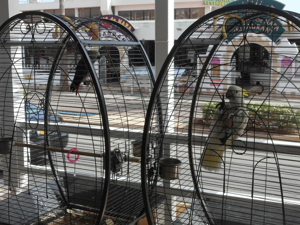 Фото Kkaras Hotel