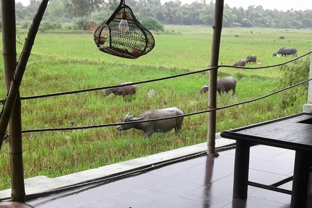 Фото La Terrazza