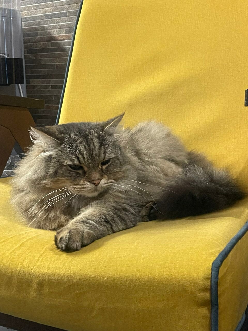 Фото Пять звезд