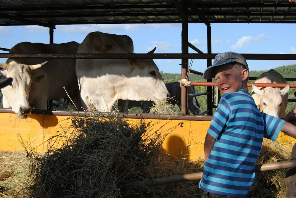 Фото Fattoria Casabianca