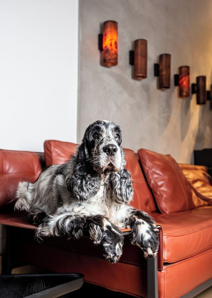 Фото Milan Suite Hotel