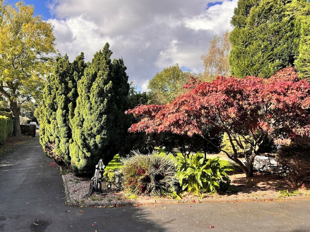 Фото Ashfield Bed and Breakfast