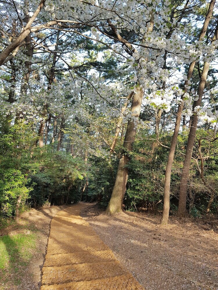 Фото Suntree Hotel