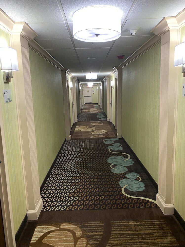 Фото Wingate by Wyndham Springfield