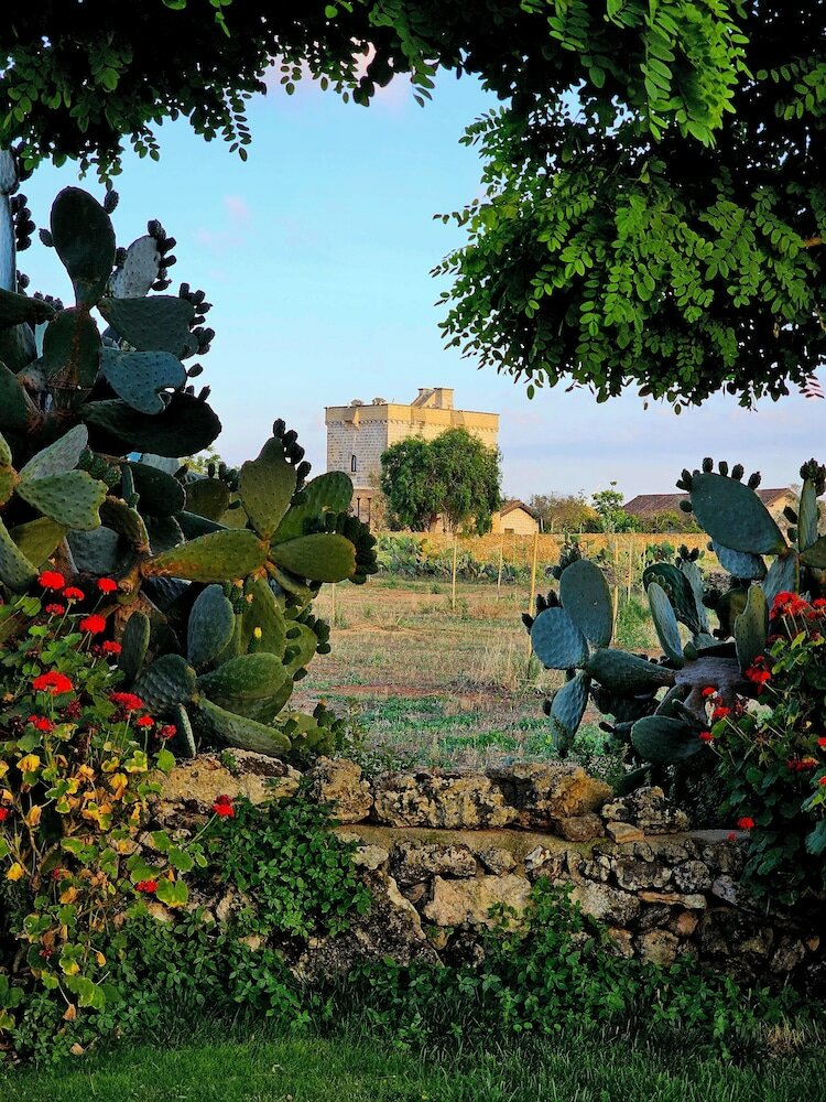 Фото Tenuta Monacelli Lecce