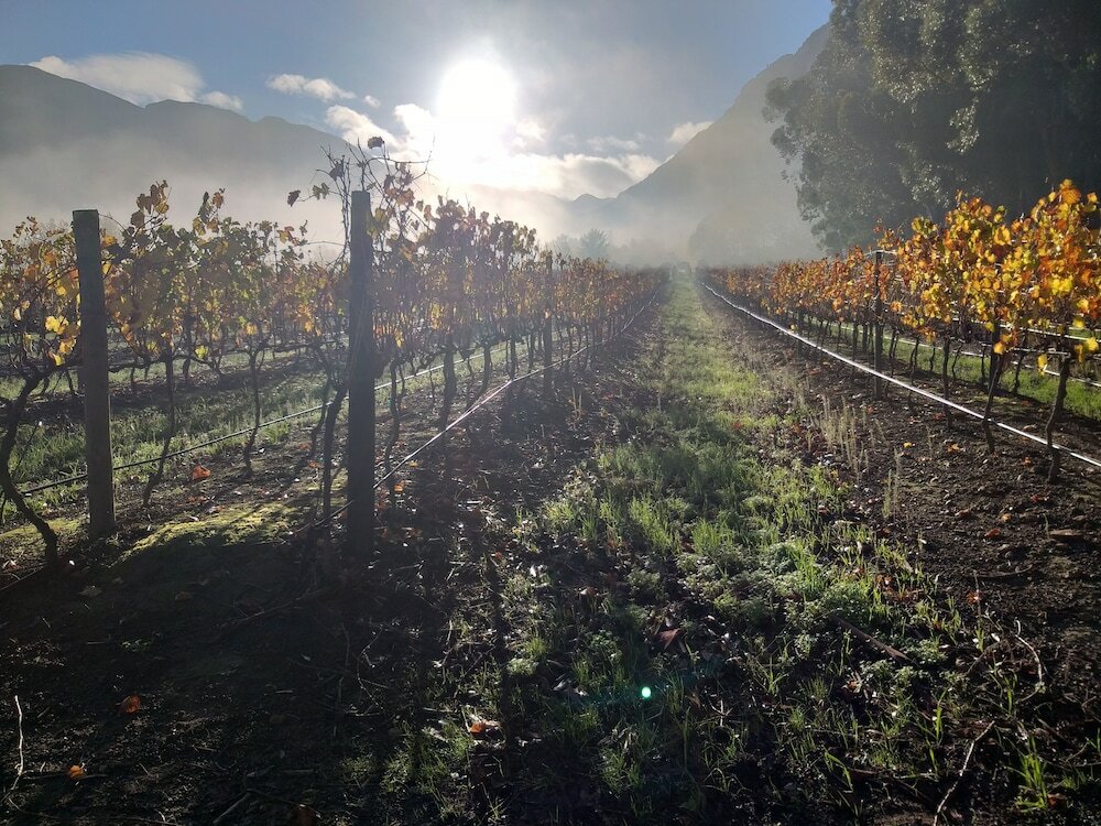 Фото L'Auberge Chanteclair